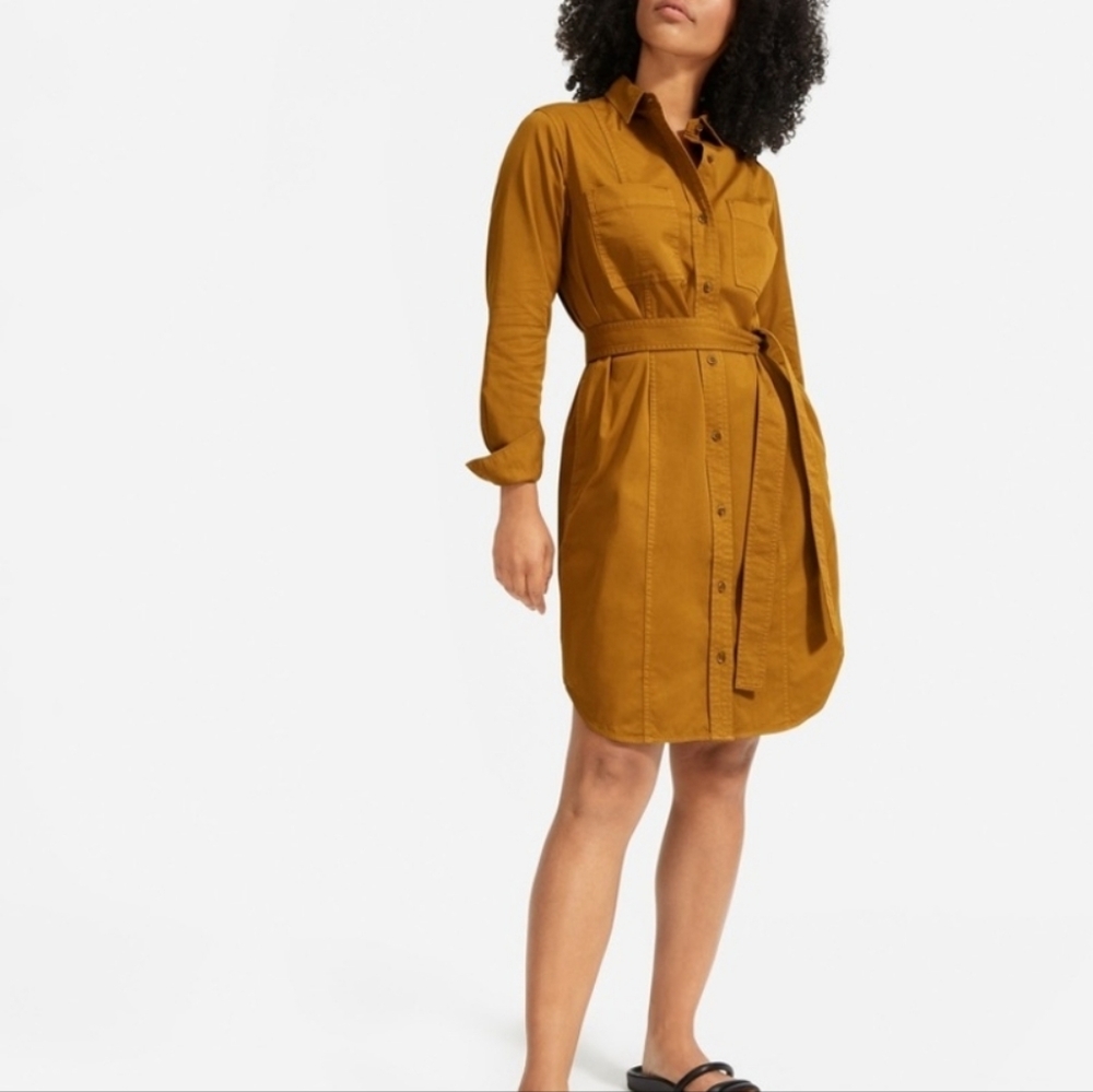 Everlane Mustard Button-Front Shirt Dress